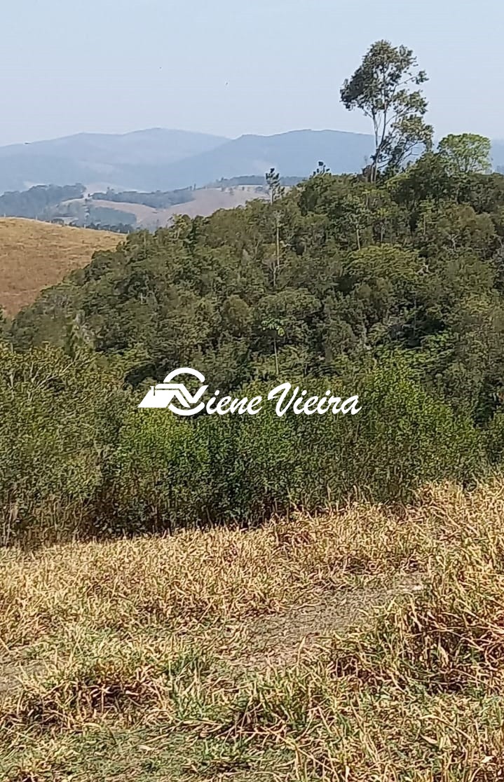 Terreno, 2 hectares - Foto 24