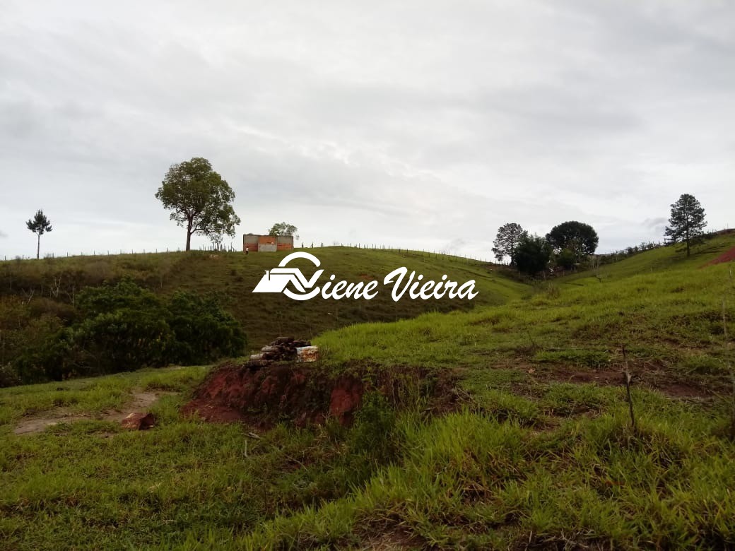 Terreno, 2 hectares - Foto 15