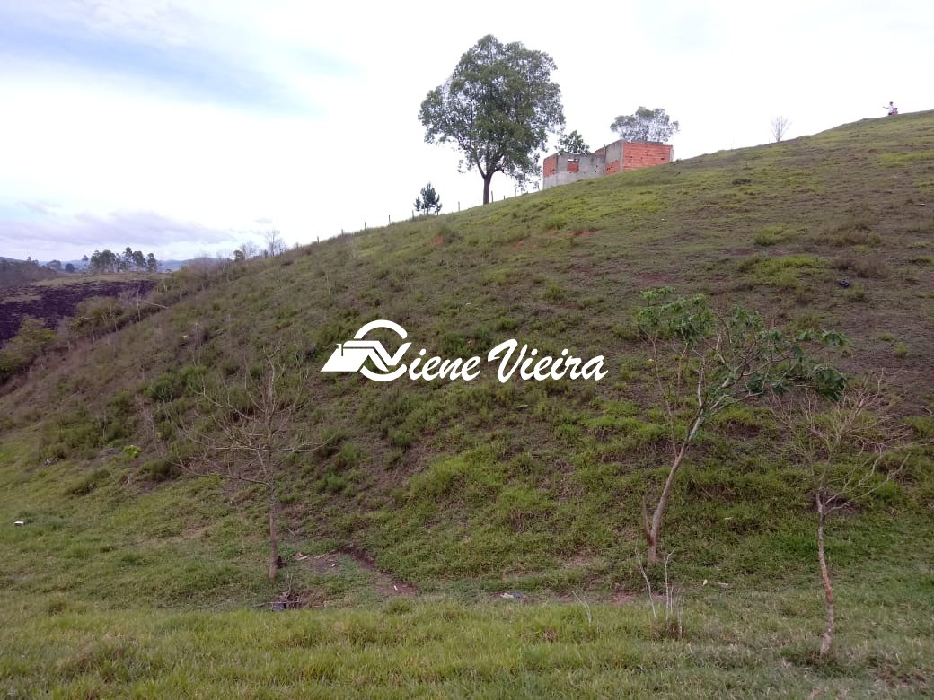 Terreno, 2 hectares - Foto 10