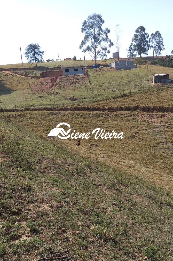 Terreno, 2 hectares - Foto 2