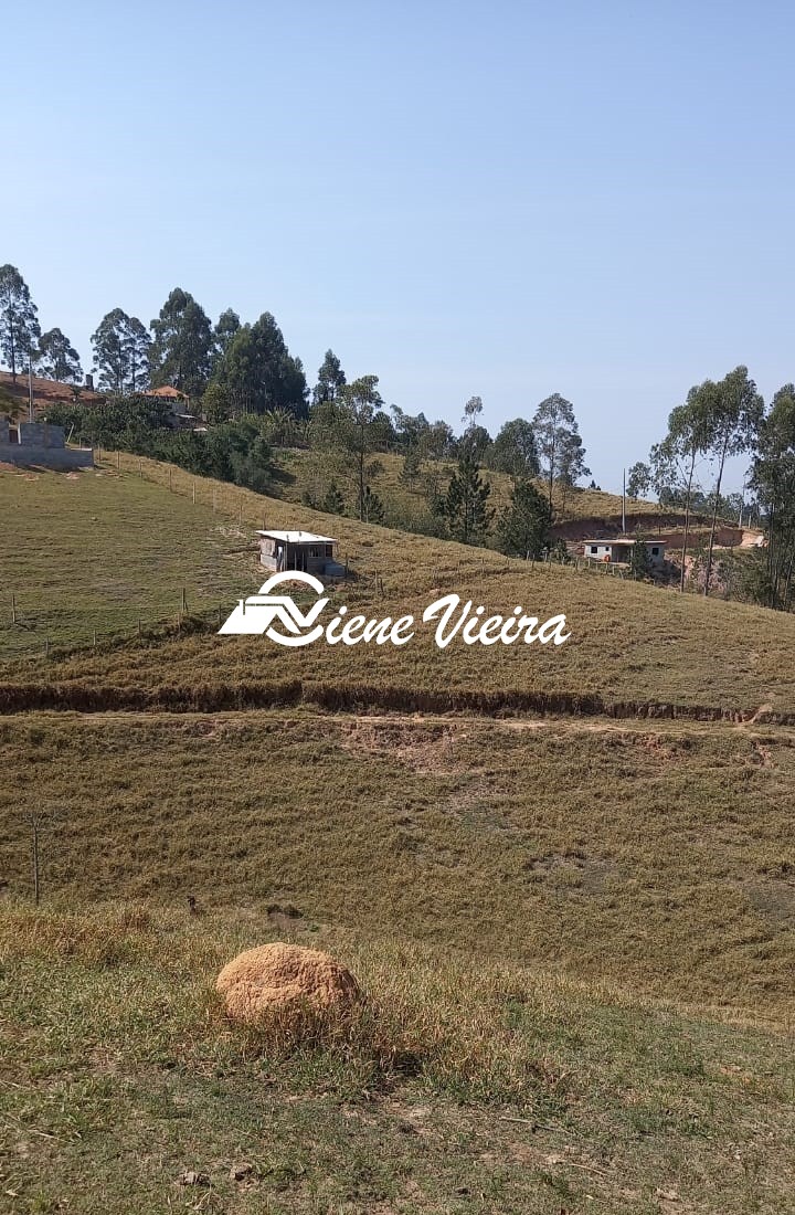 Terreno, 2 hectares - Foto 6