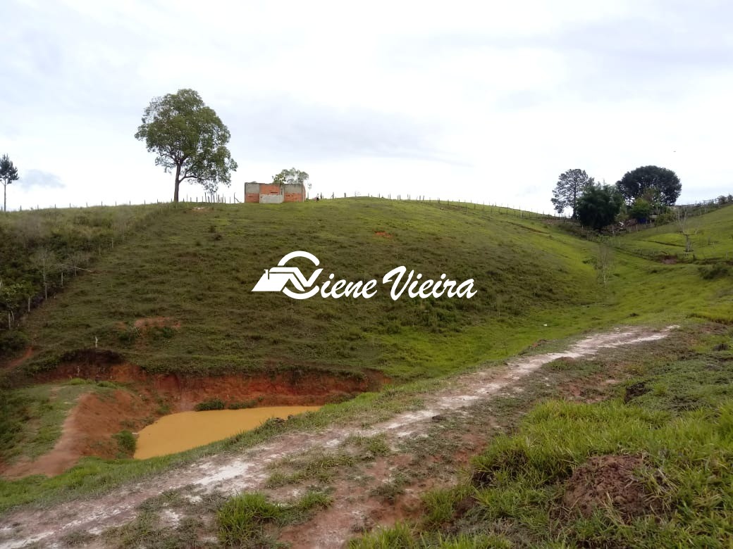 Terreno, 2 hectares - Foto 14