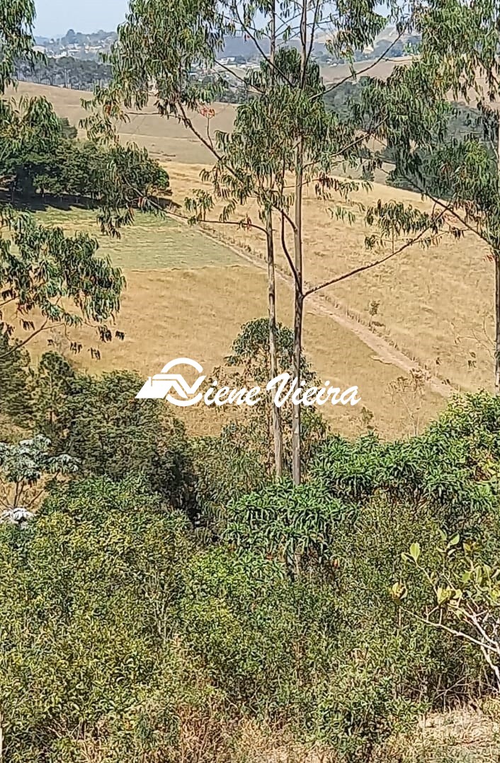 Terreno, 2 hectares - Foto 25