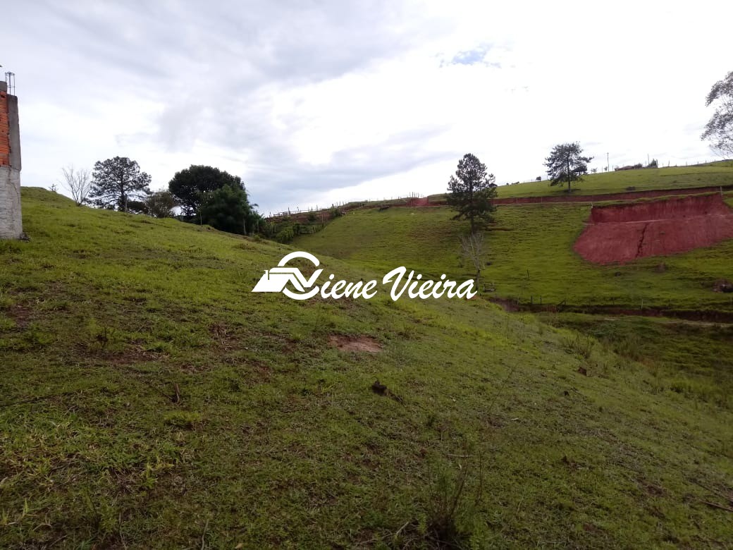 Terreno, 2 hectares - Foto 22