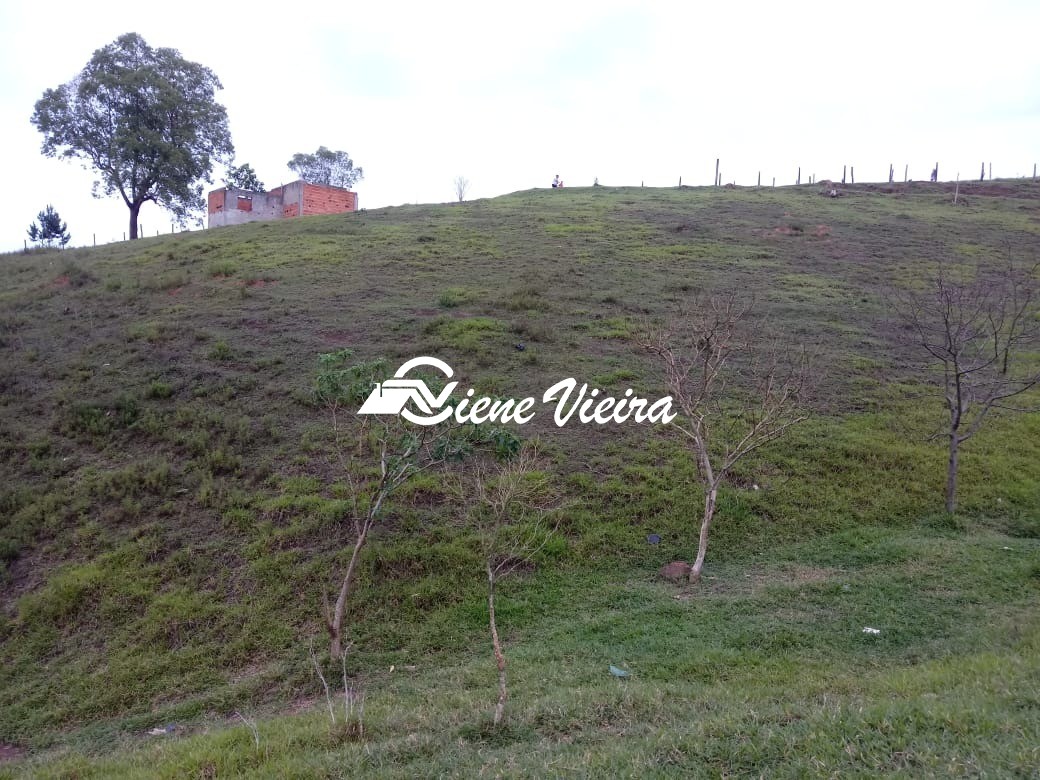 Terreno, 2 hectares - Foto 12