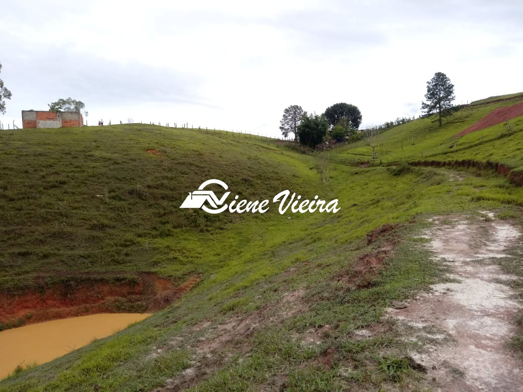 Terreno, 2 hectares - Foto 9