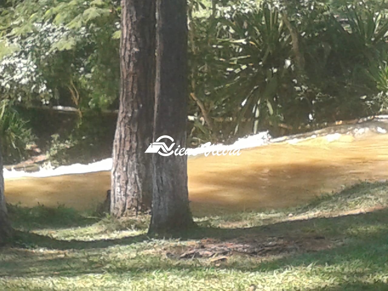 Terreno, 2 hectares - Foto 31