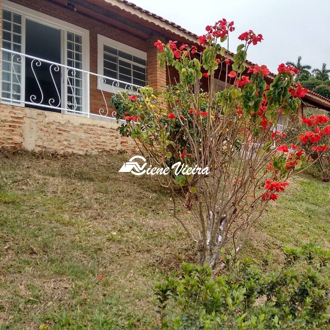 Chácara, 3 quartos, 2907 m² - Foto 2