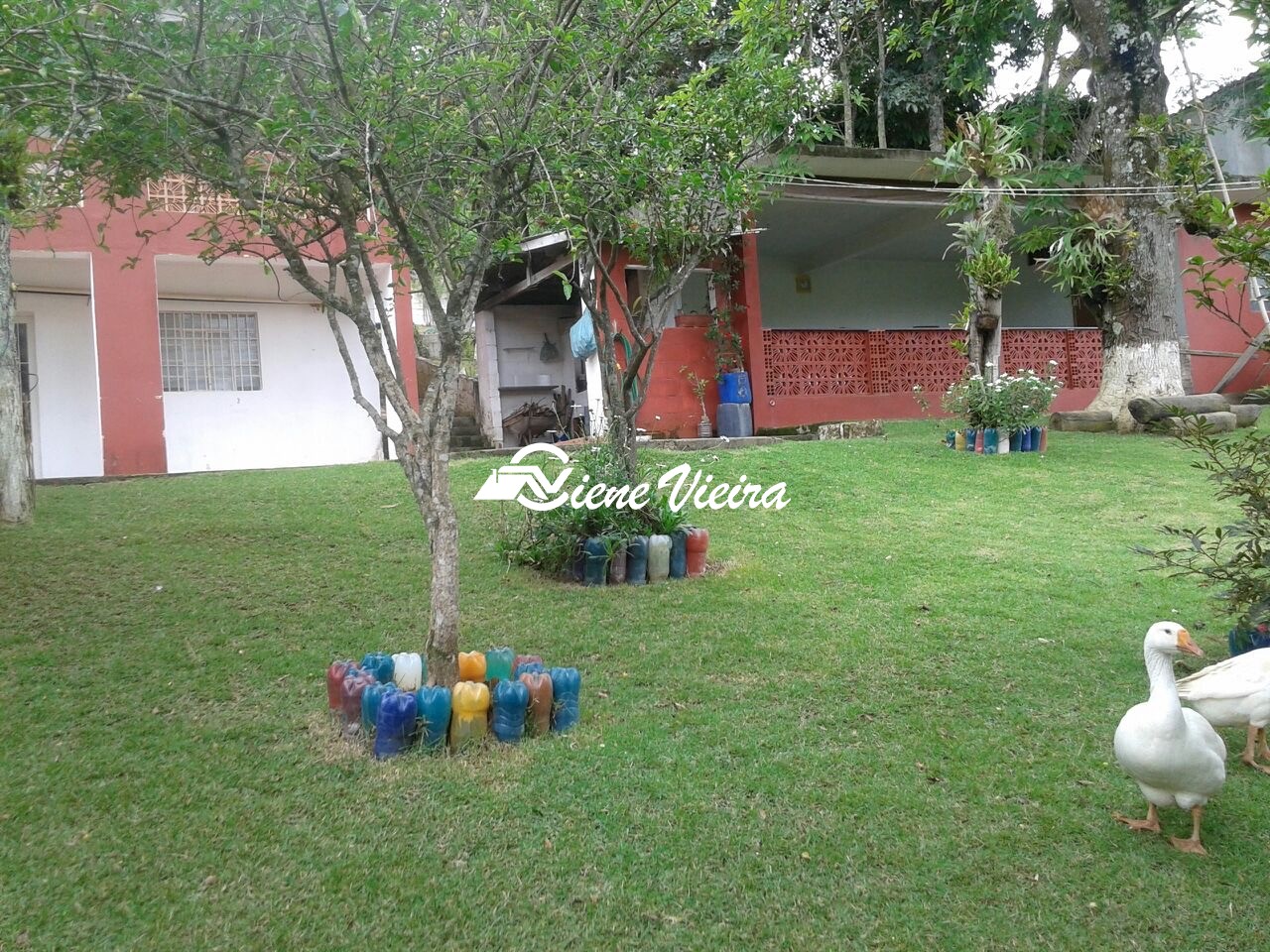 Chácara, 2 quartos, 2500 m² - Foto 5