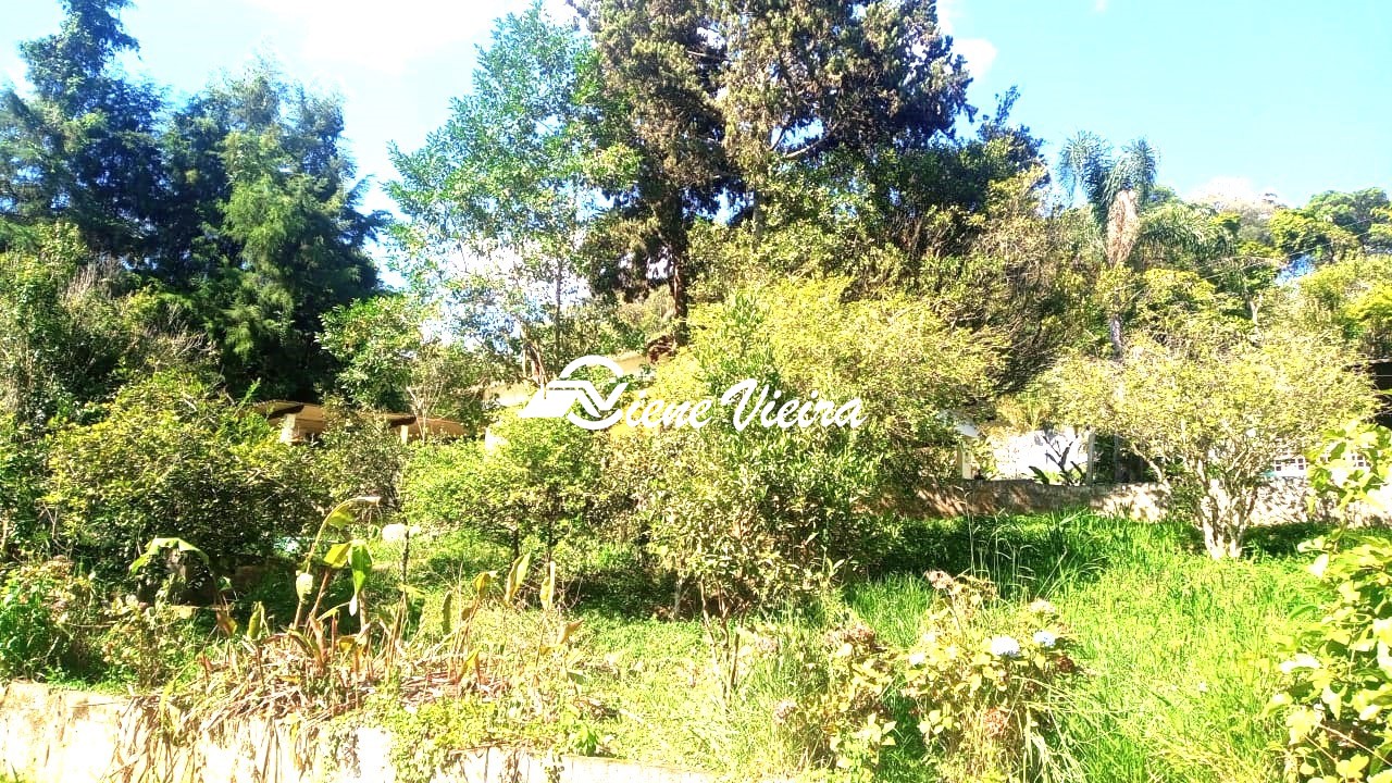 Chácara, 2 quartos, 2600 m² - Foto 8