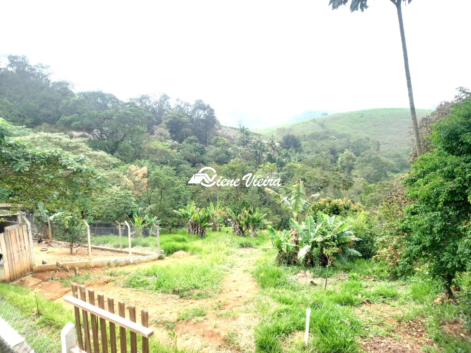 Chácara, 2 quartos, 4100 m² - Foto 35