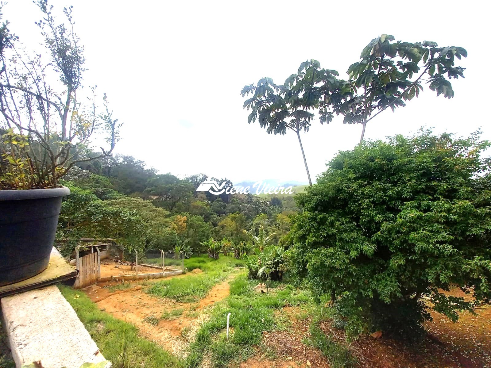 Chácara, 2 quartos, 4100 m² - Foto 30