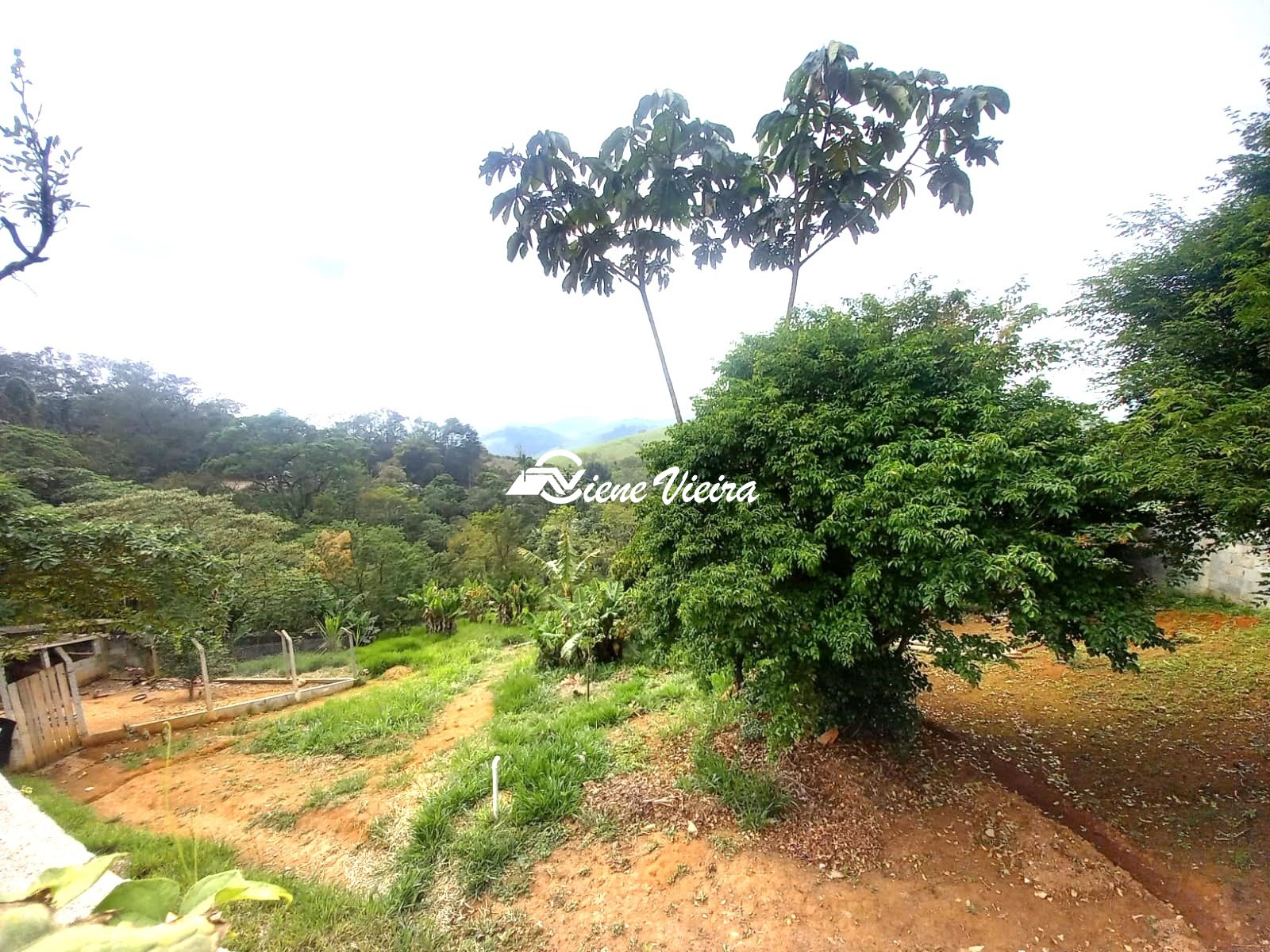 Chácara, 2 quartos, 4100 m² - Foto 33