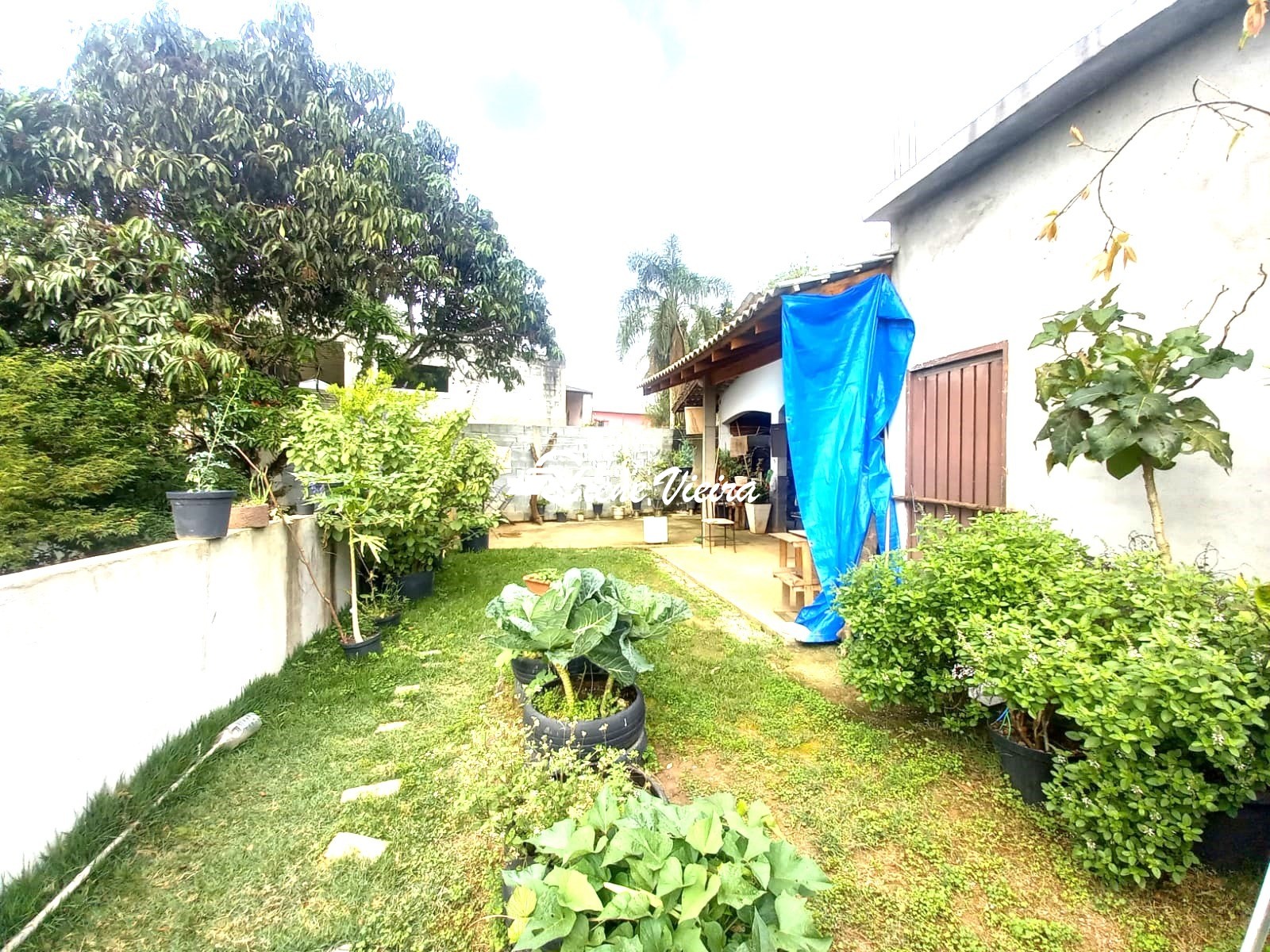 Chácara, 2 quartos, 4100 m² - Foto 32
