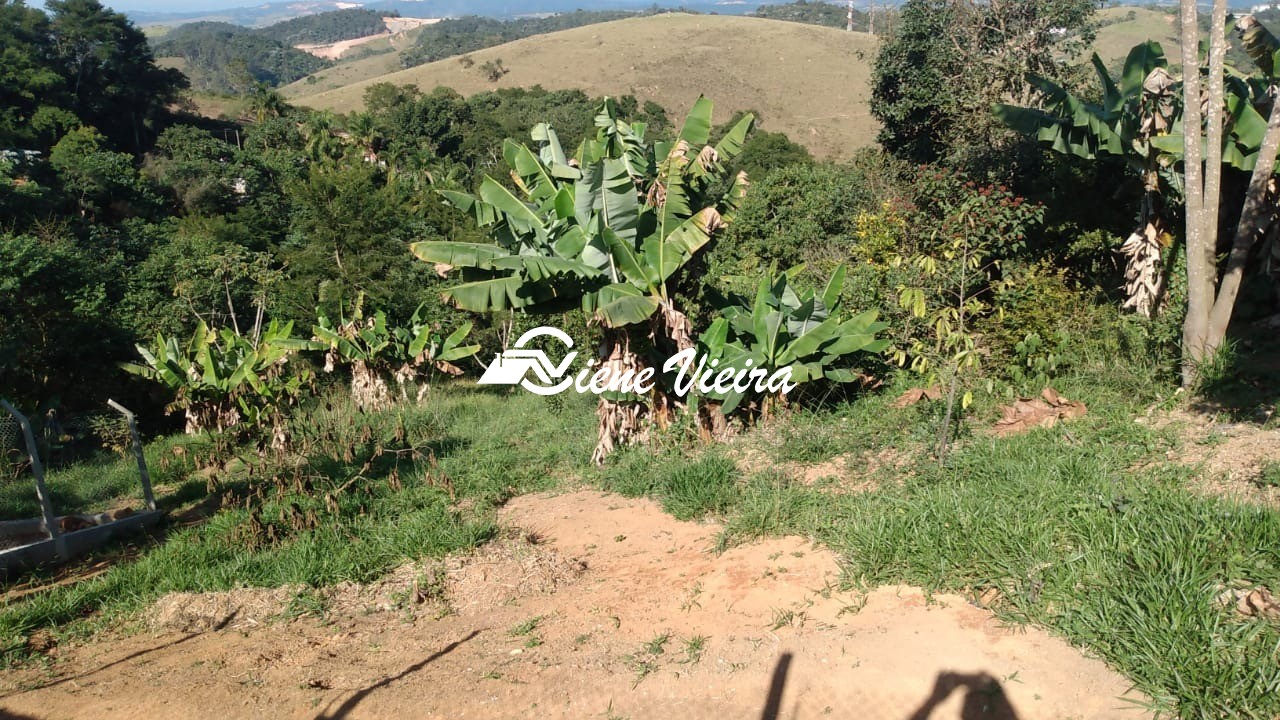 Chácara, 2 quartos, 4100 m² - Foto 26