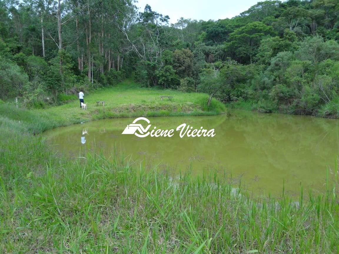 Chácara, 4 quartos, 4 hectares - Foto 20