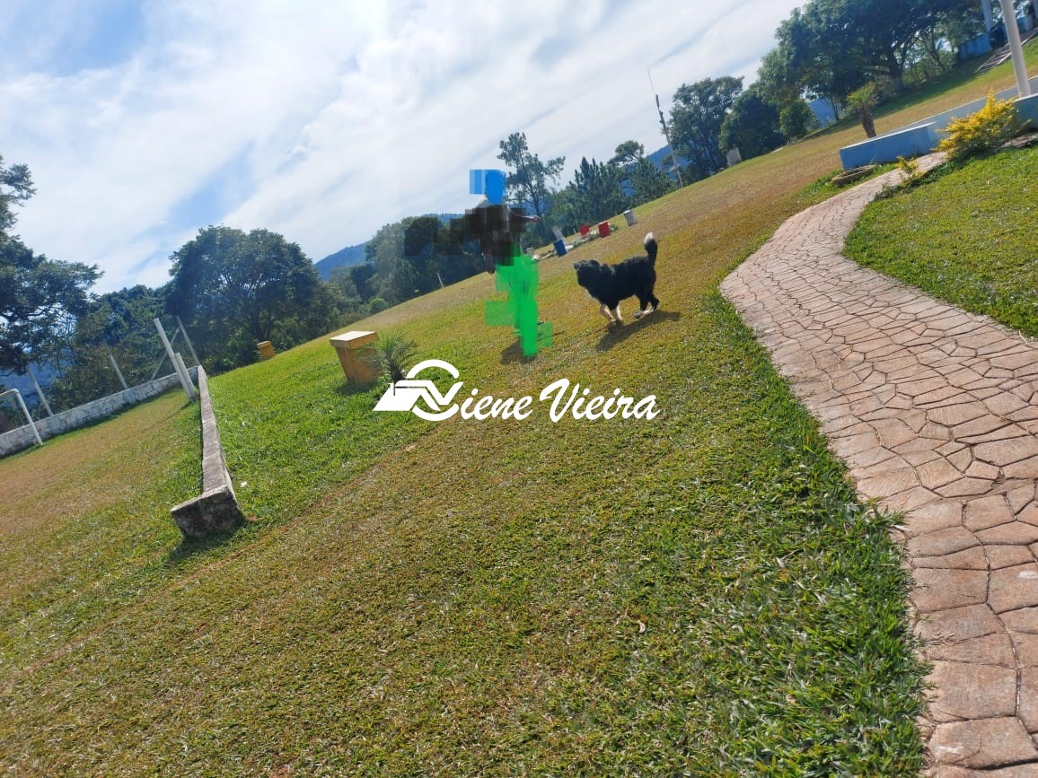 Chácara, 4 quartos, 4 hectares - Foto 15