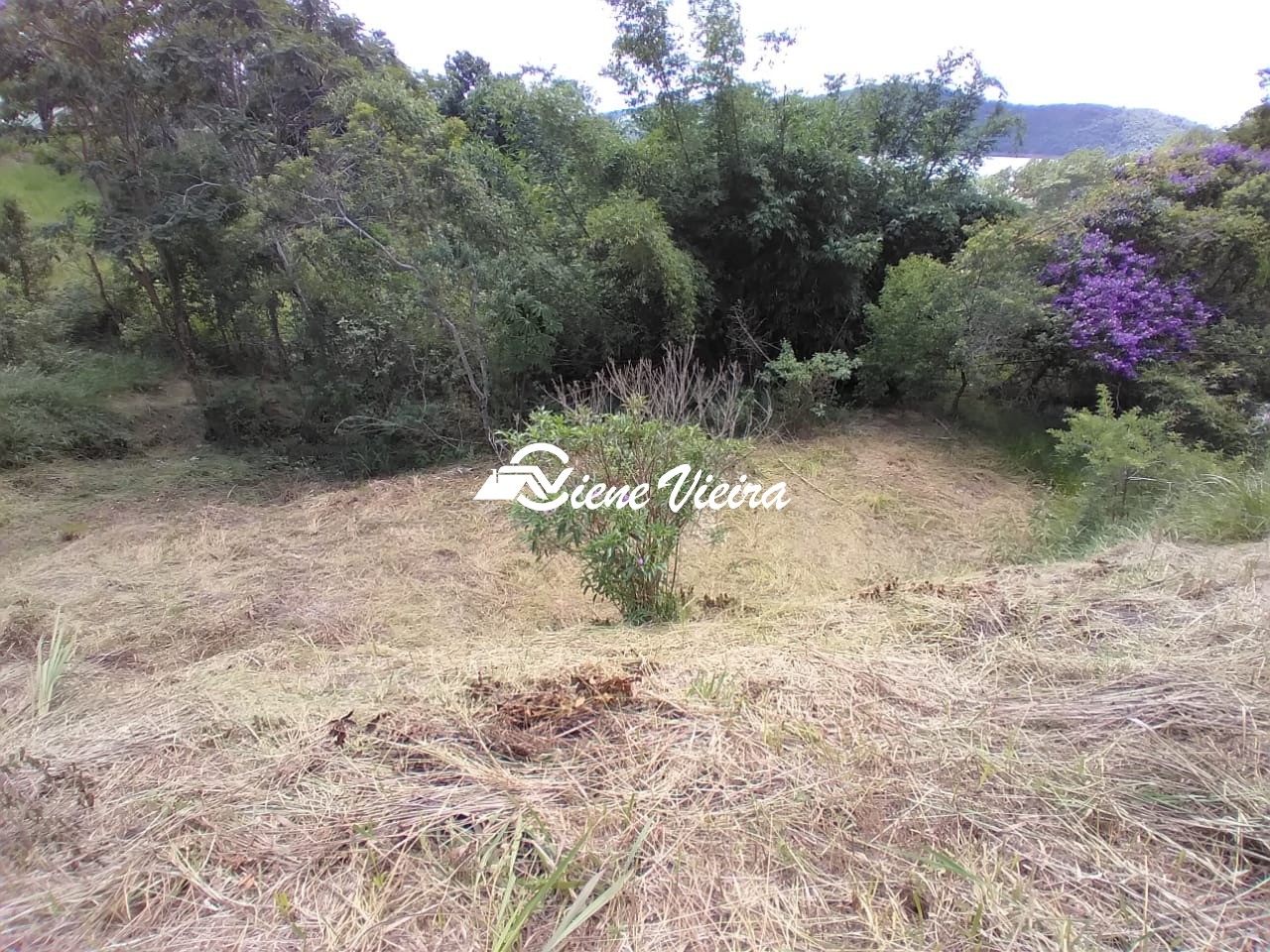 Terreno, 3115 m² - Foto 4