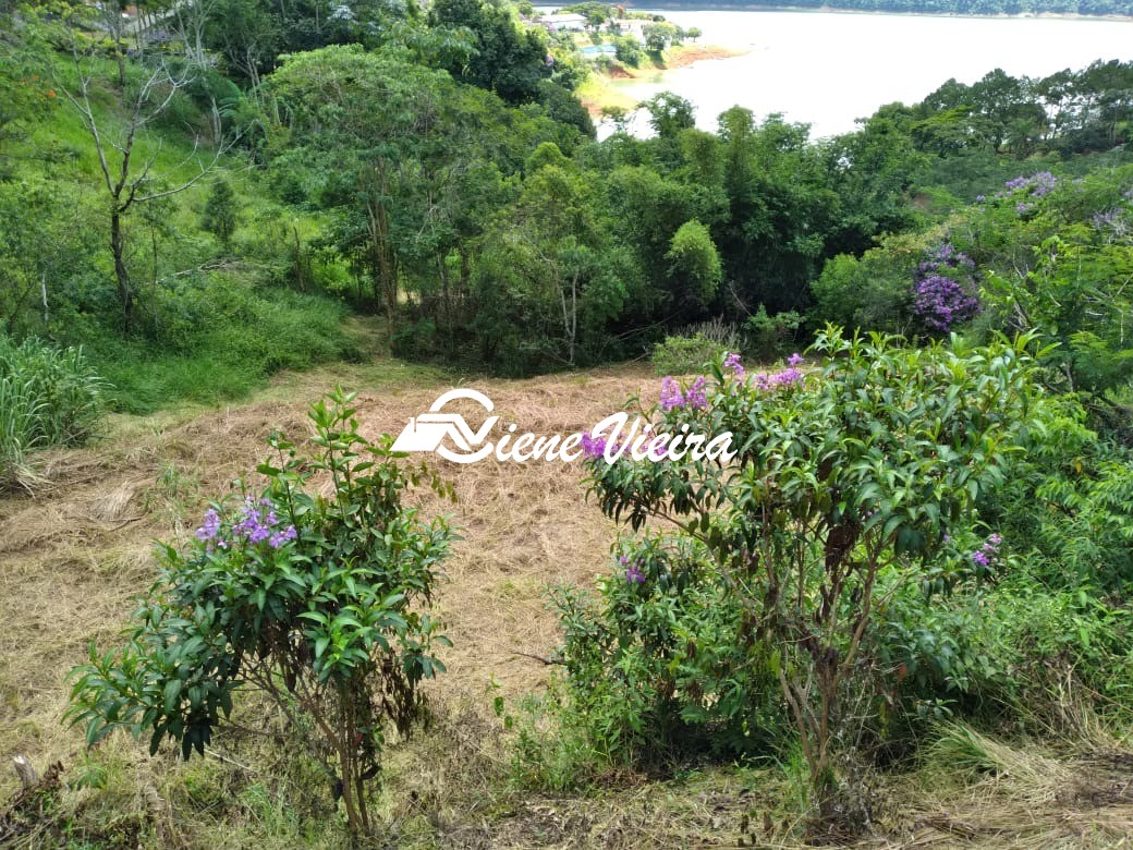 Terreno, 3115 m² - Foto 6