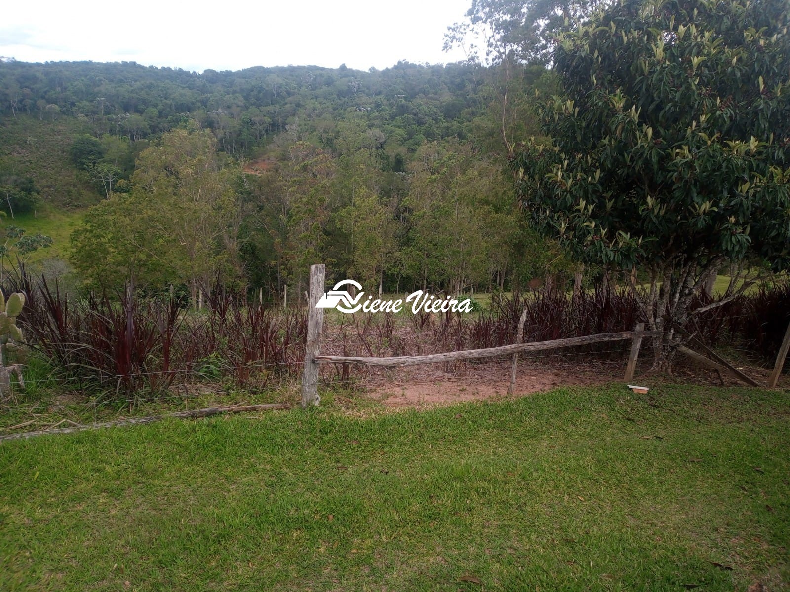Sítio, 2 quartos, 6 hectares - Foto 10