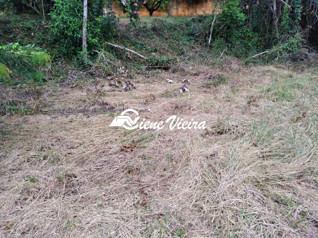 Terreno, 3115 m² - Foto 5