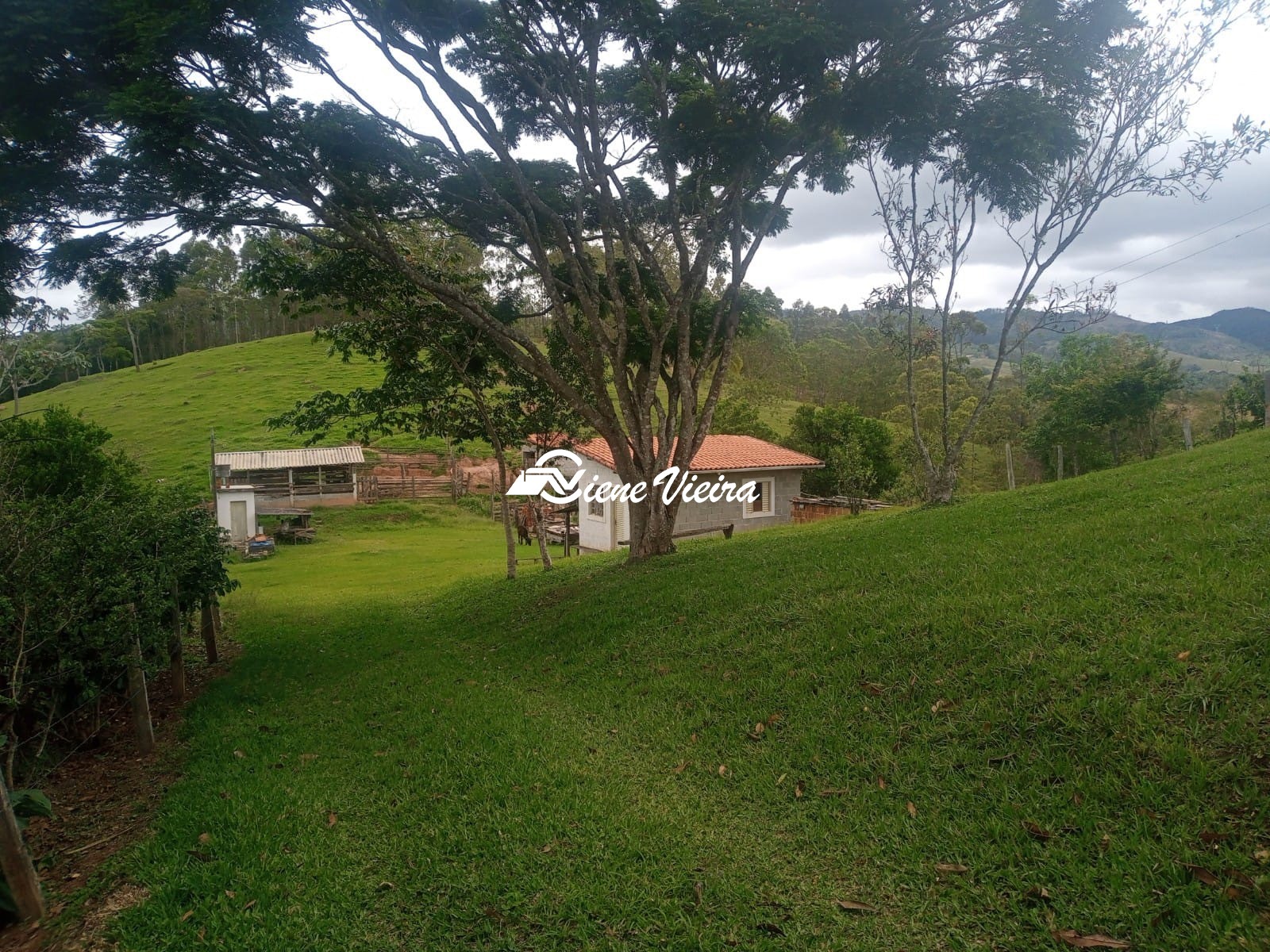 Sítio, 2 quartos, 6 hectares - Foto 8