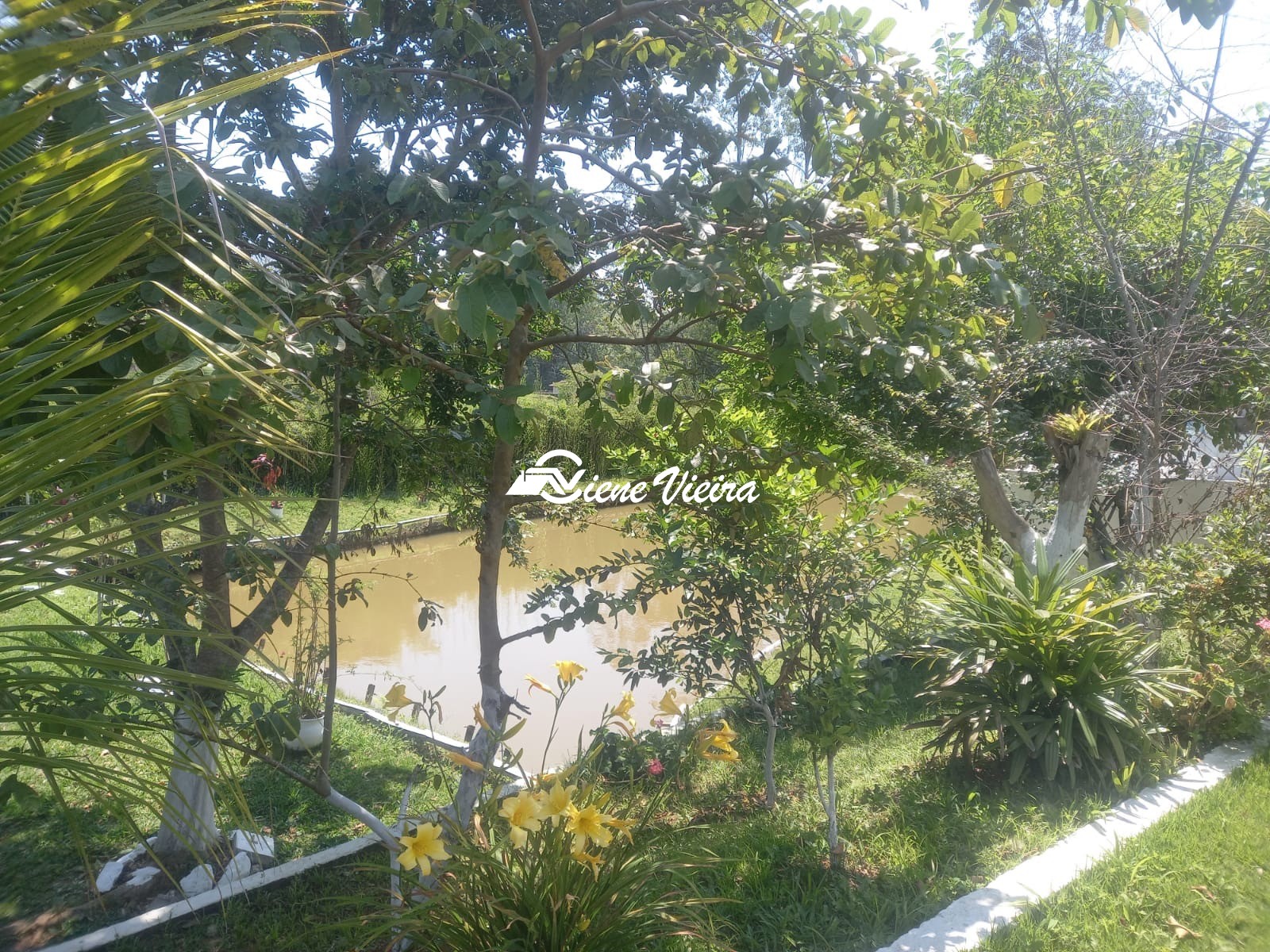 Chácara, 3 quartos, 3500 m² - Foto 7