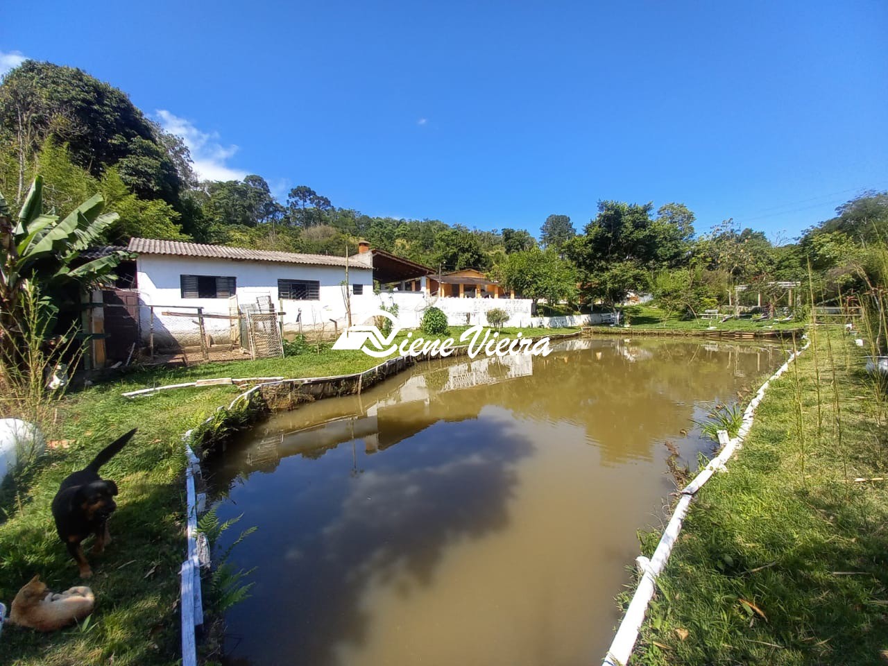 Chácara, 3 quartos, 3500 m² - Foto 1
