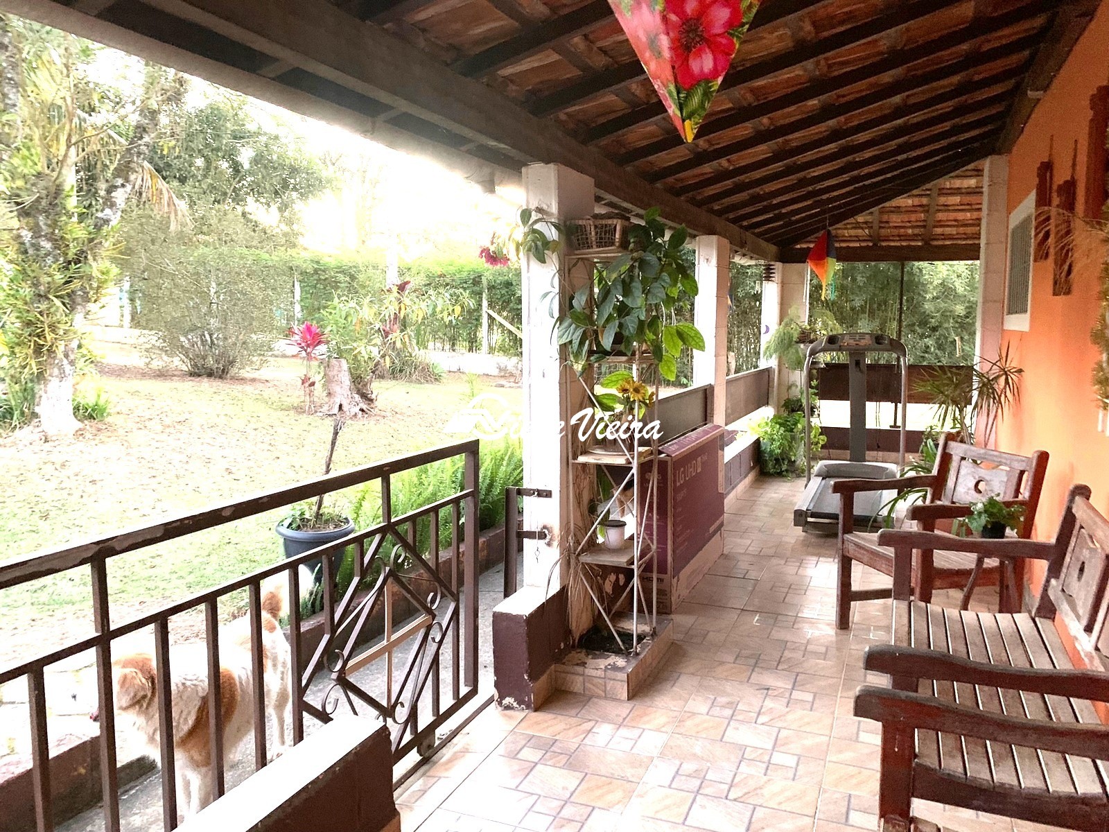 Chácara, 3 quartos, 3300 m² - Foto 15