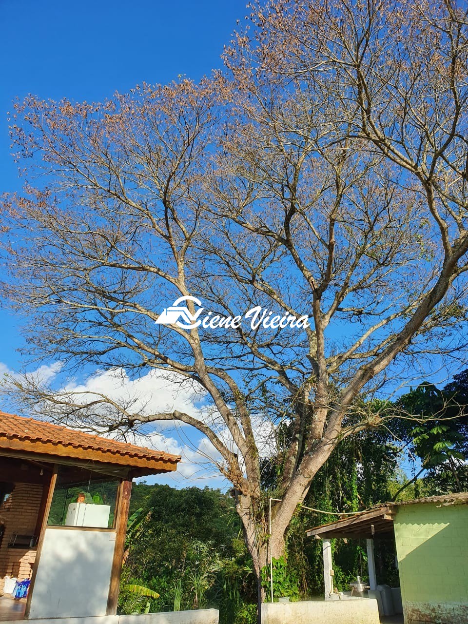 Chácara, 2 quartos, 5000 m² - Foto 12