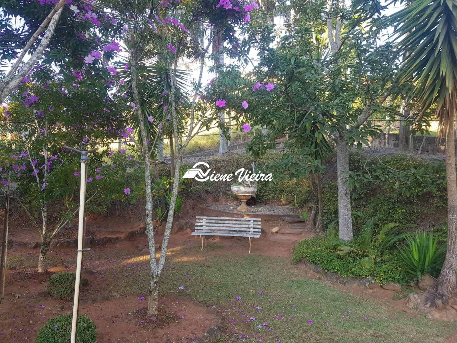 Chácara, 4 quartos, 1658 m² - Foto 11