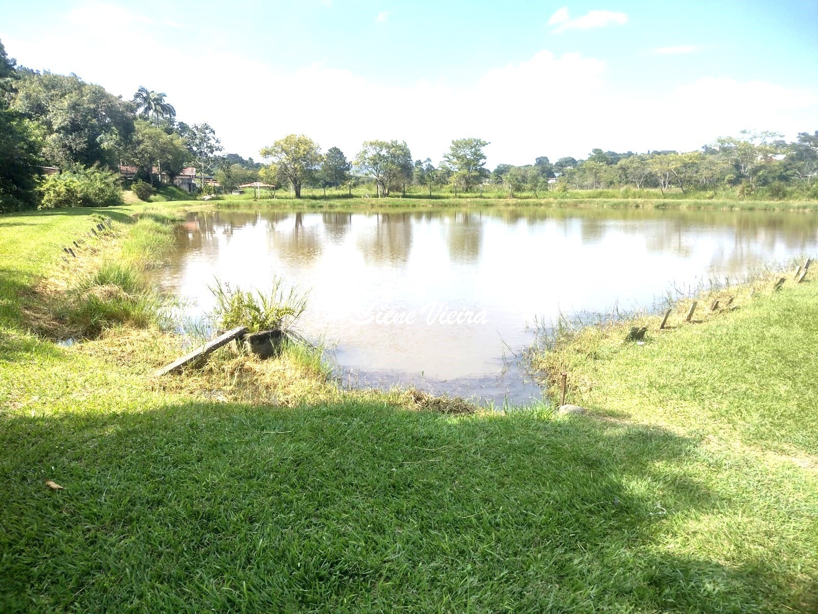 Chácara, 3 quartos, 2 hectares - Foto 6