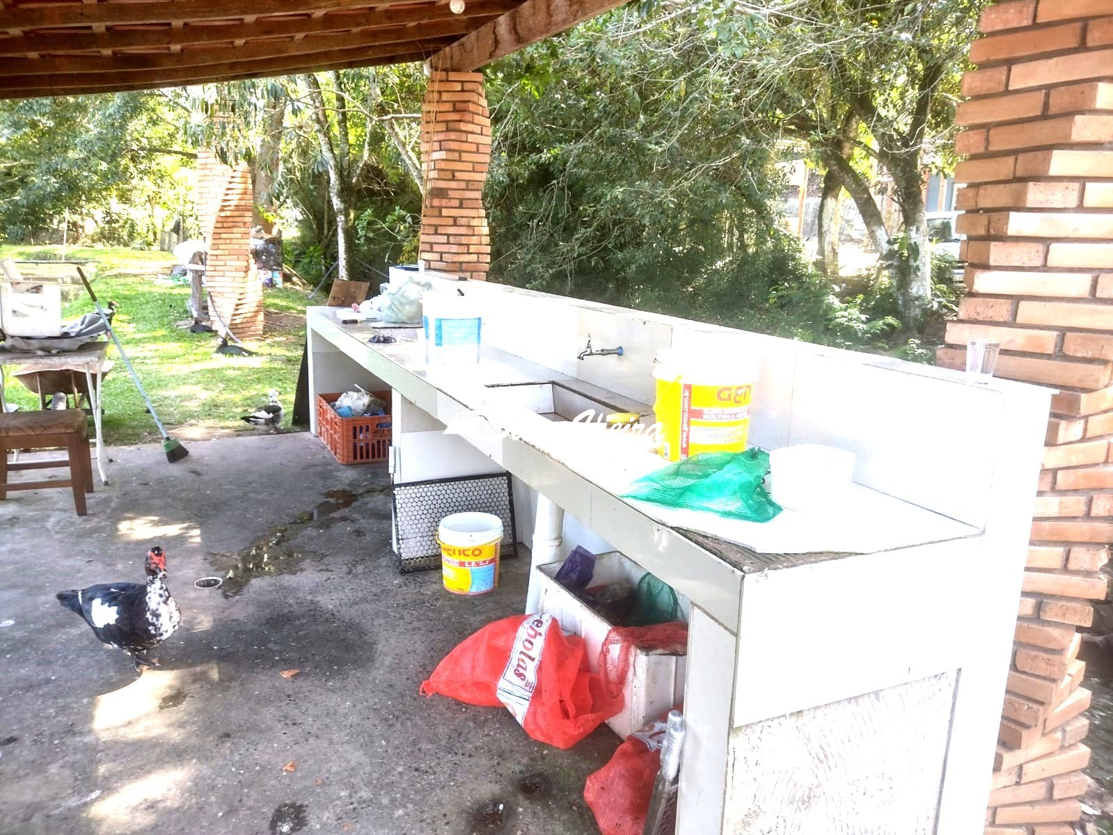 Chácara, 3 quartos, 2 hectares - Foto 15