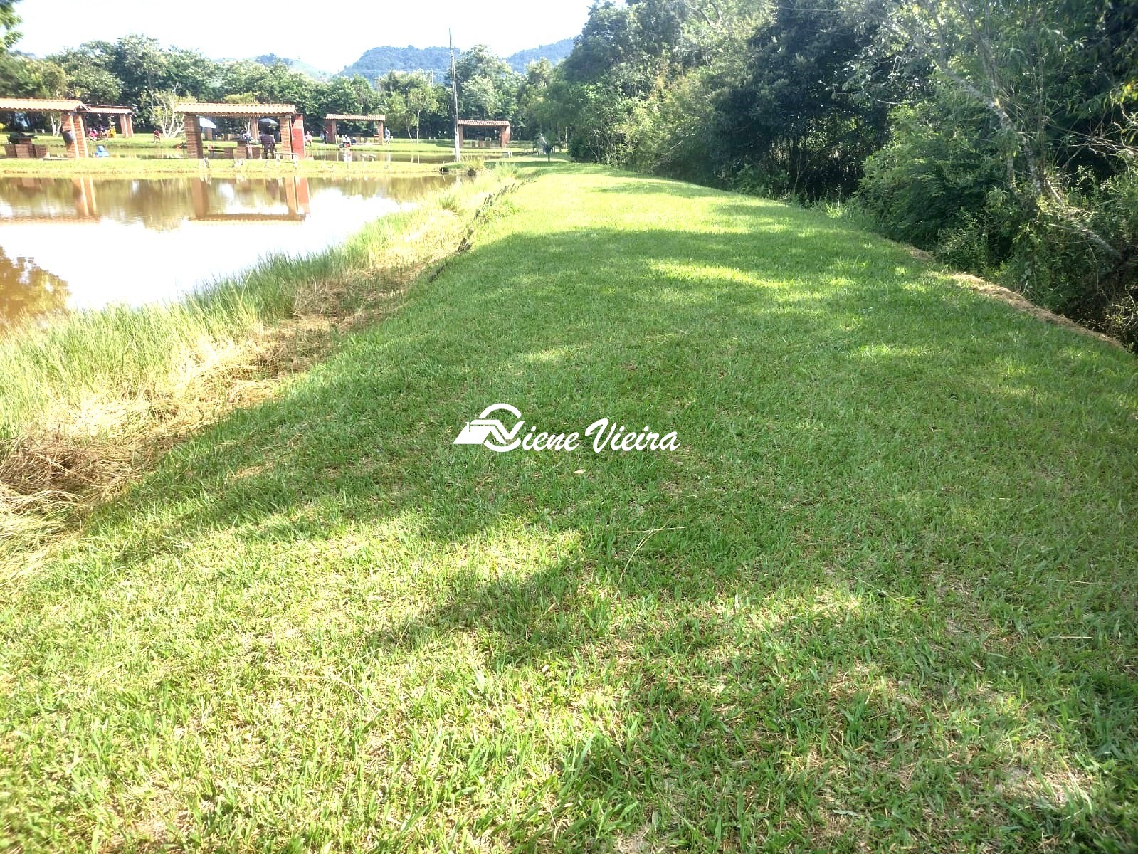 Chácara, 3 quartos, 2 hectares - Foto 8