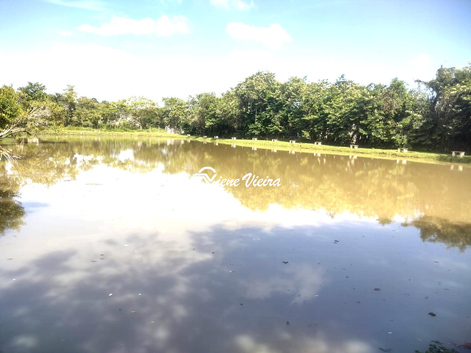 Chácara, 3 quartos, 2 hectares - Foto 7
