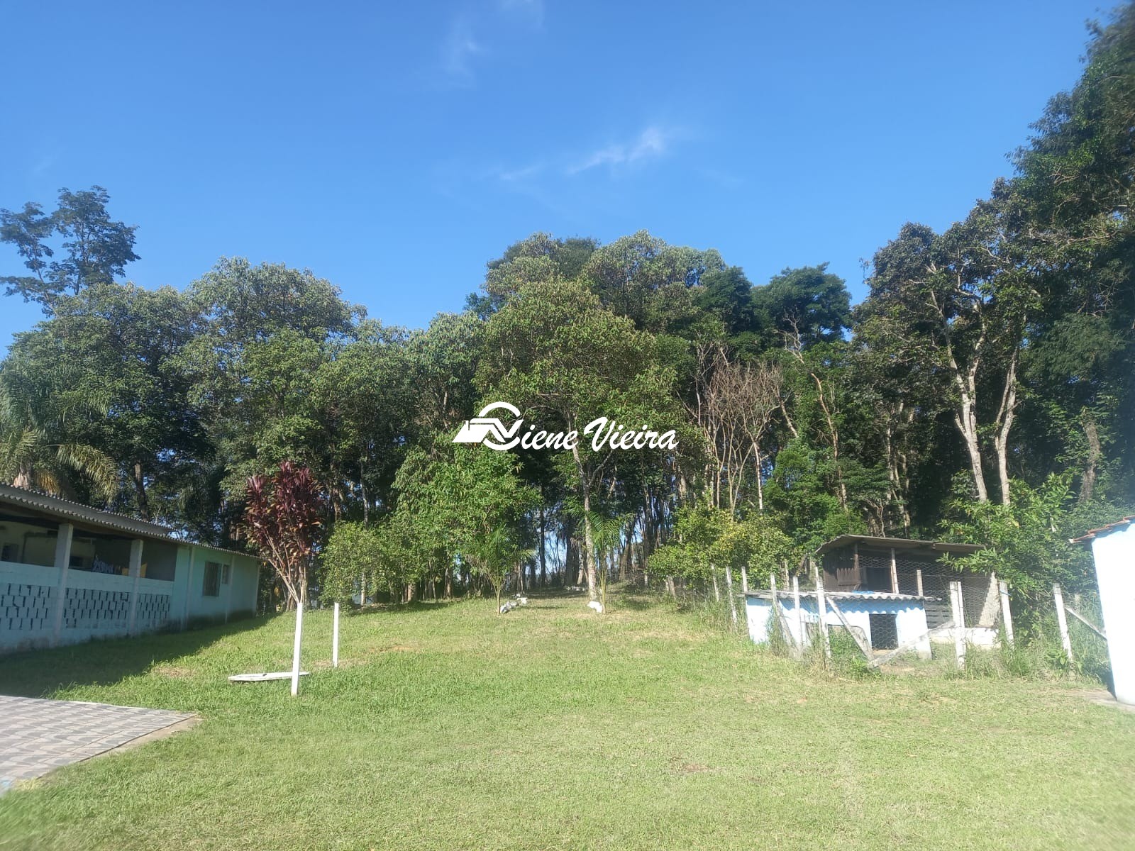 Chácara, 4 quartos, 4 hectares - Foto 24