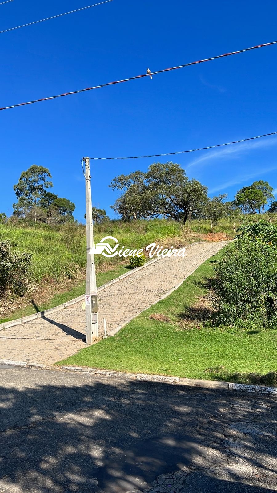 Terreno, 850 m² - Foto 6