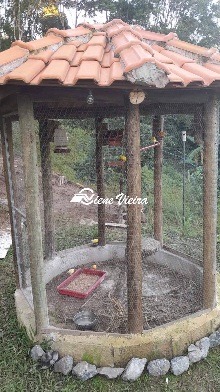 Chácara, 5 quartos, 3950 m² - Foto 16