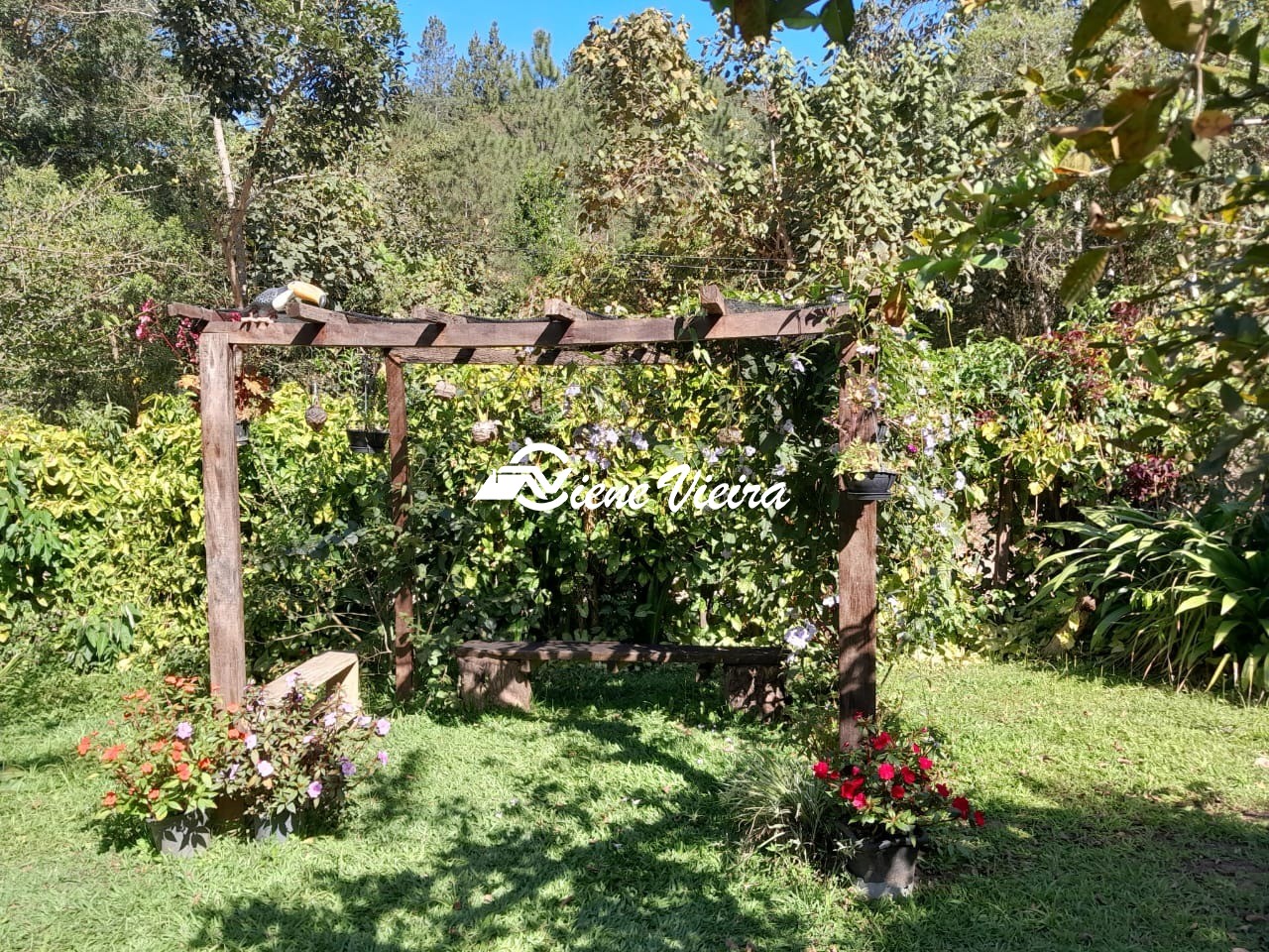 Chácara, 5 quartos, 3950 m² - Foto 4