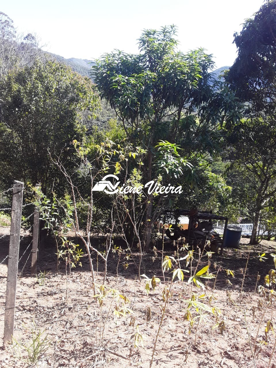 Chácara, 2 quartos, 2100 m² - Foto 14