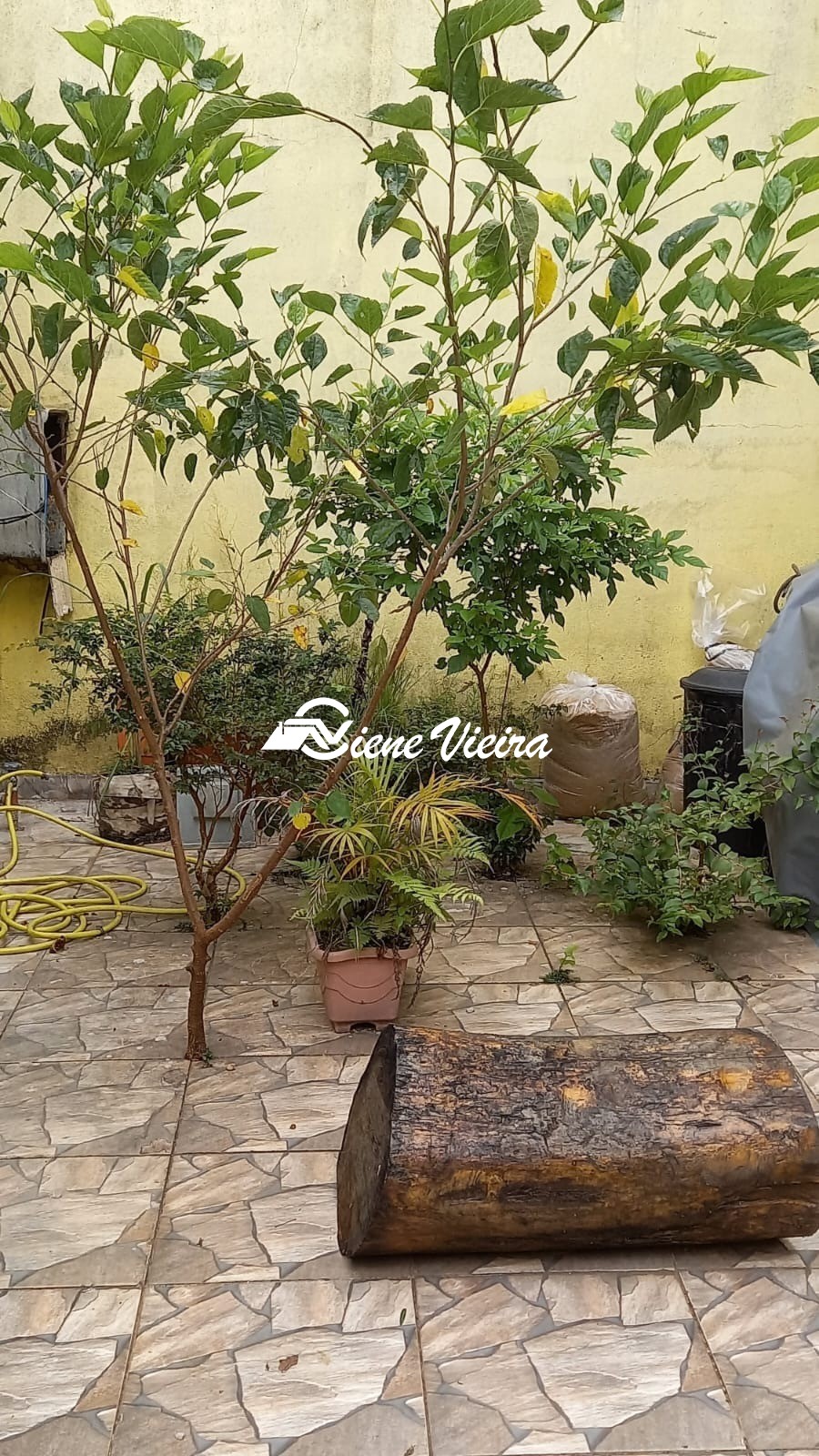 Casa, 4 quartos, 152 m² - Foto 13