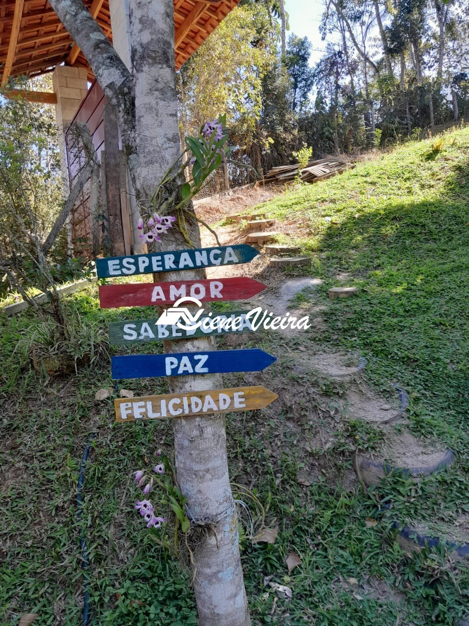 Chácara, 5 quartos, 3950 m² - Foto 3