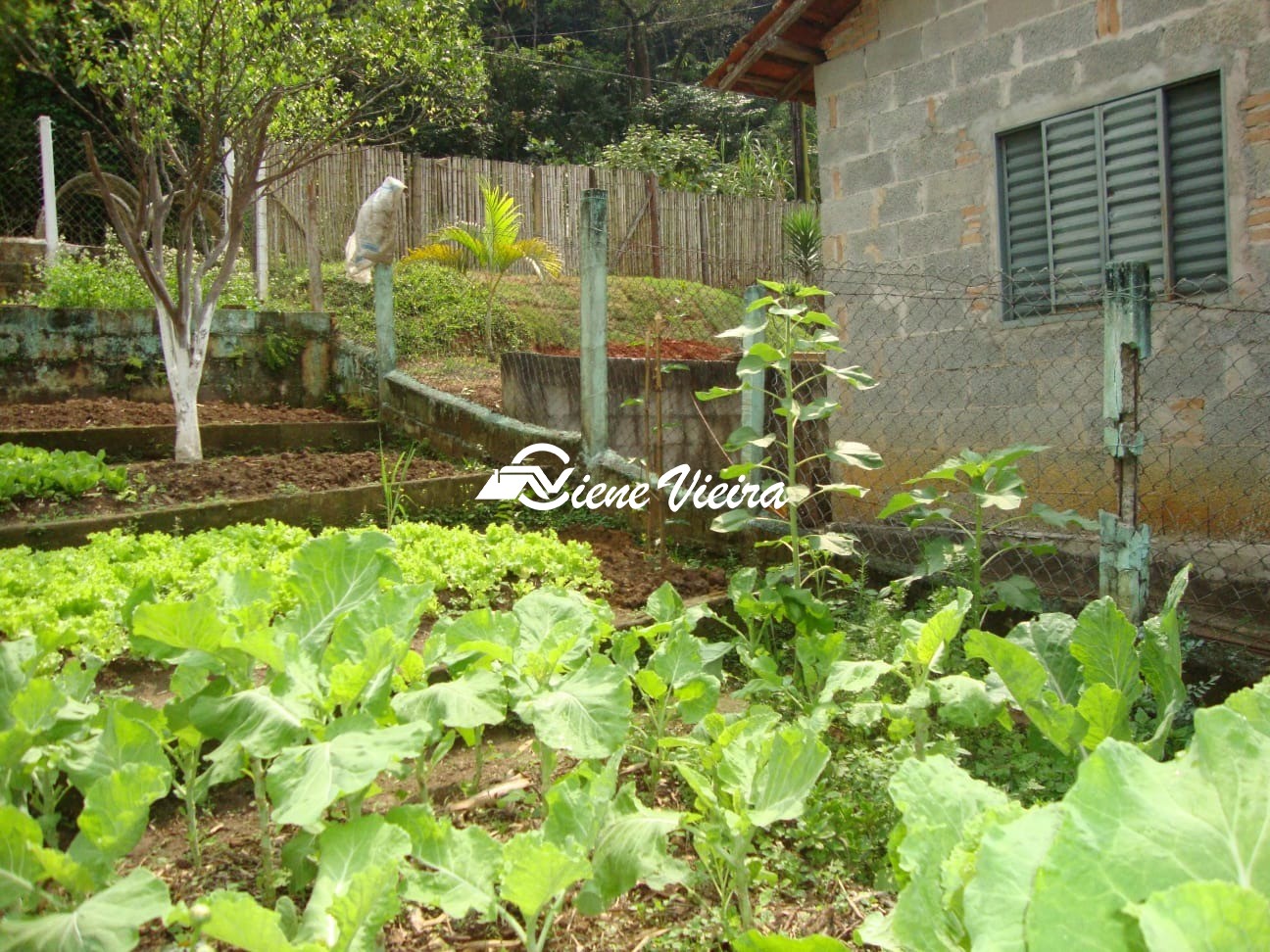 Chácara, 2 quartos, 1280 m² - Foto 13