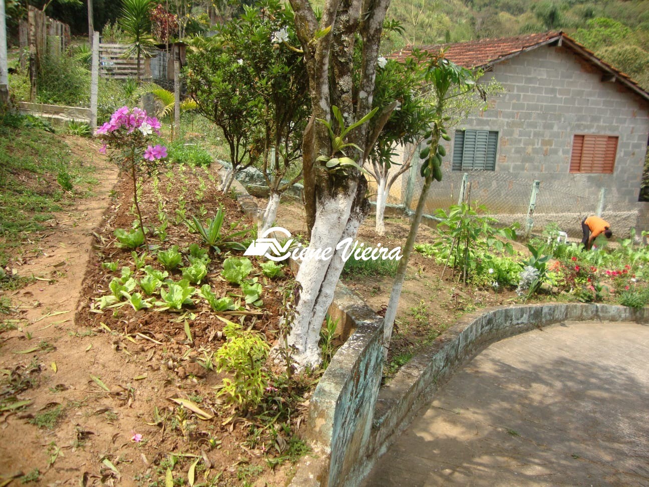 Chácara, 2 quartos, 1280 m² - Foto 1