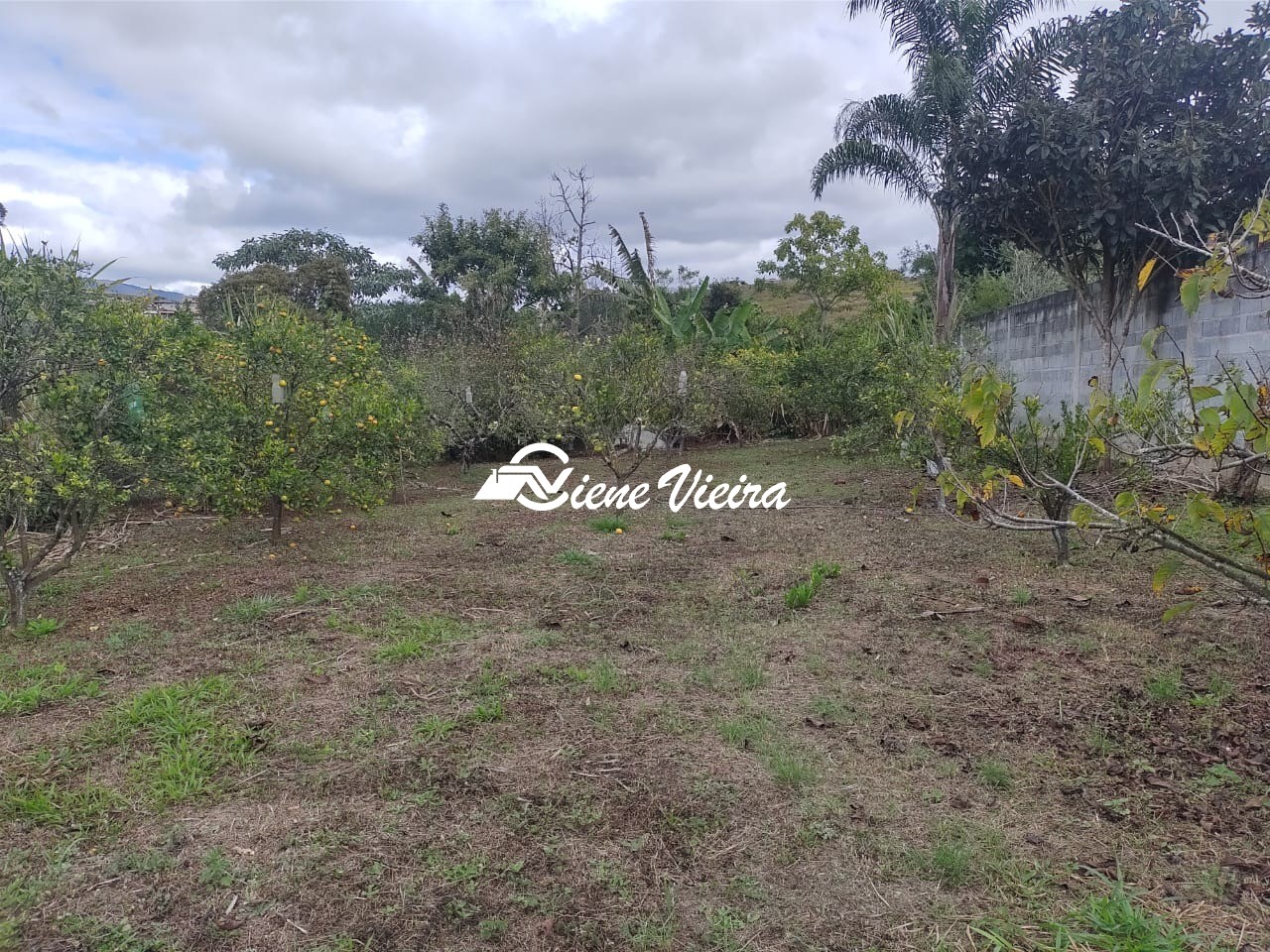 Chácara, 1 quarto, 1000 m² - Foto 18