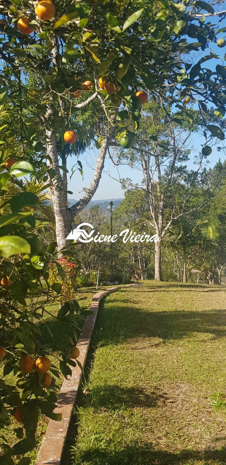 Chácara, 2 quartos, 4900 m² - Foto 15