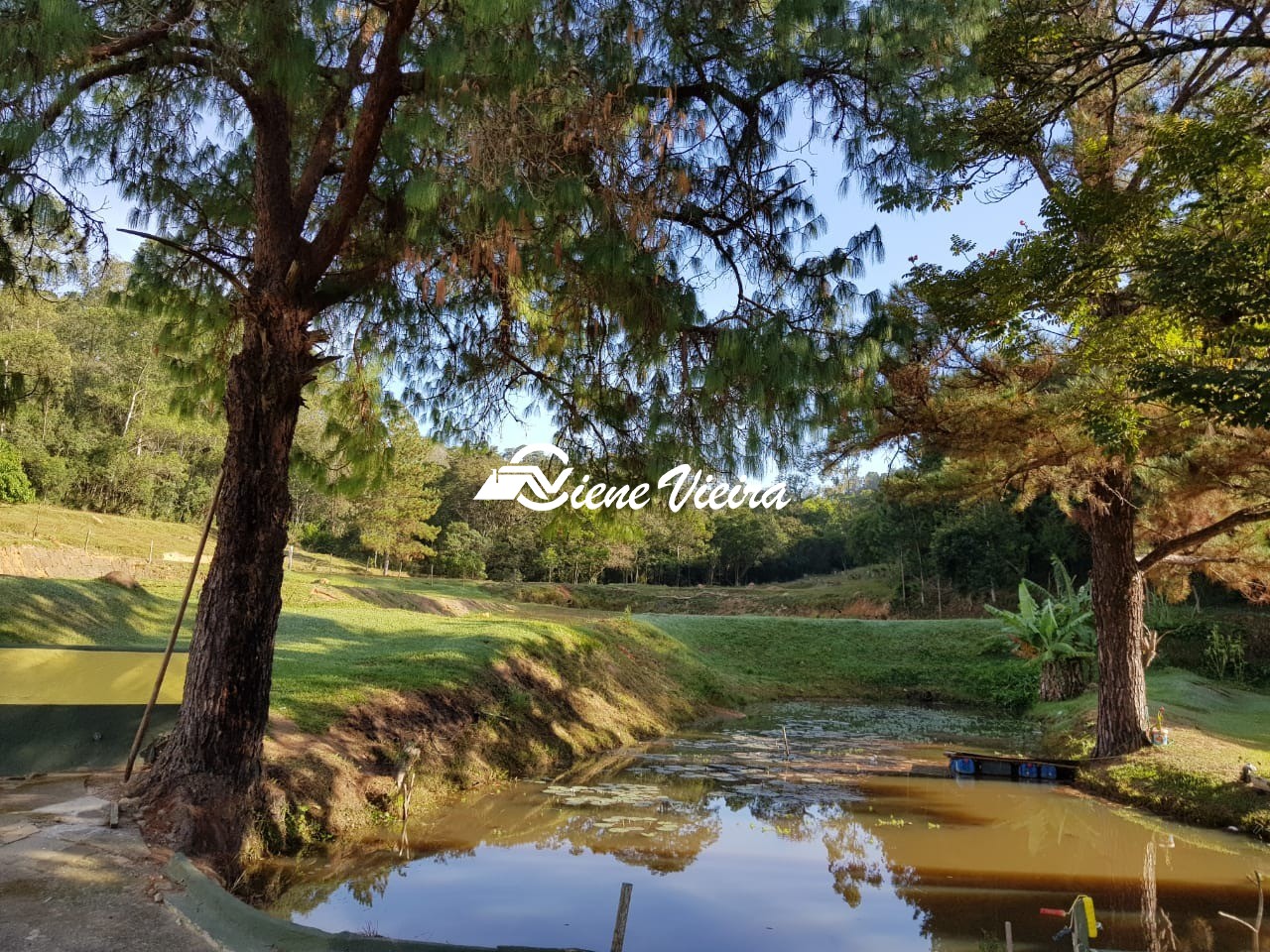 Chácara, 4 quartos, 13 hectares - Foto 3