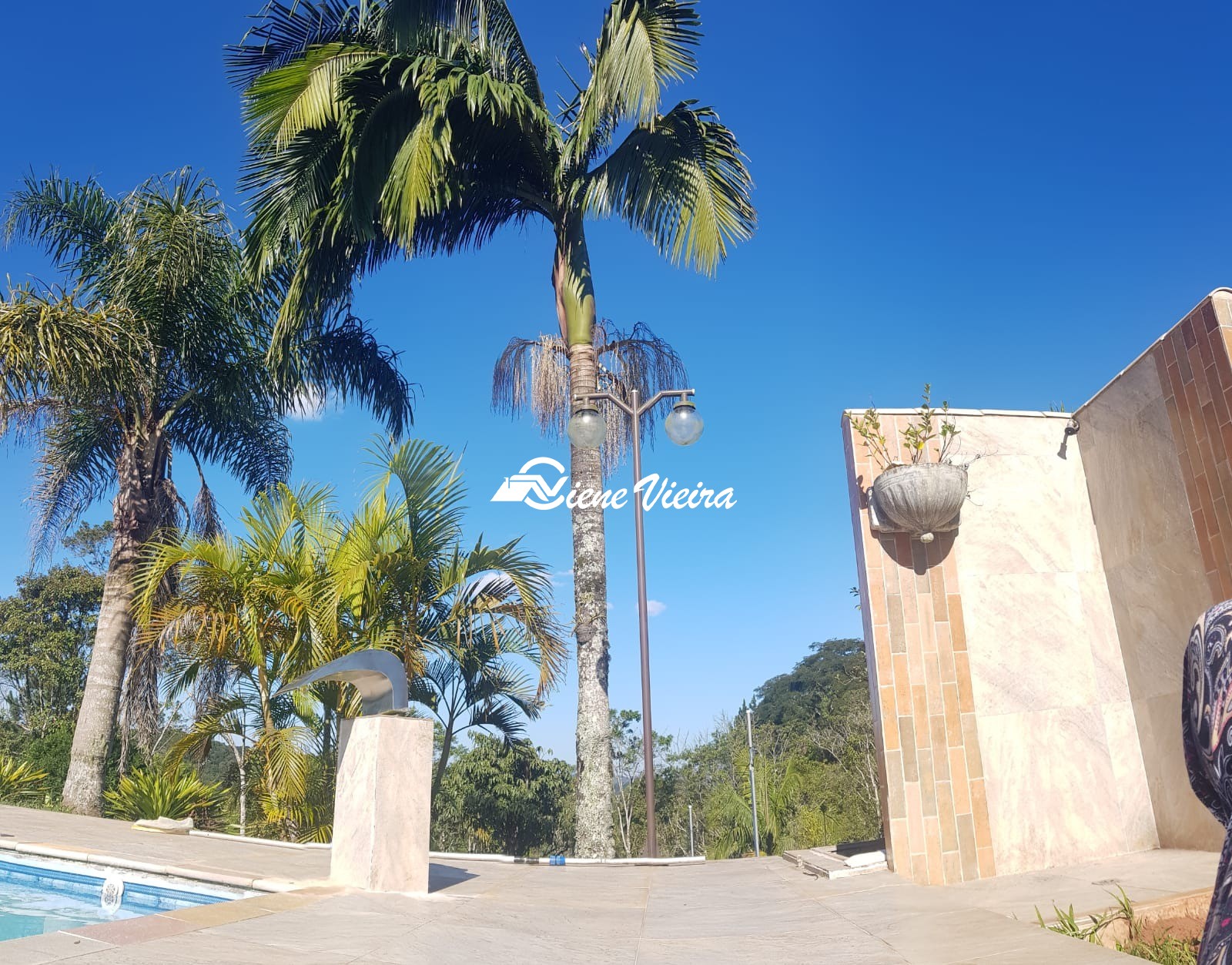 Chácara, 2 quartos, 4900 m² - Foto 12
