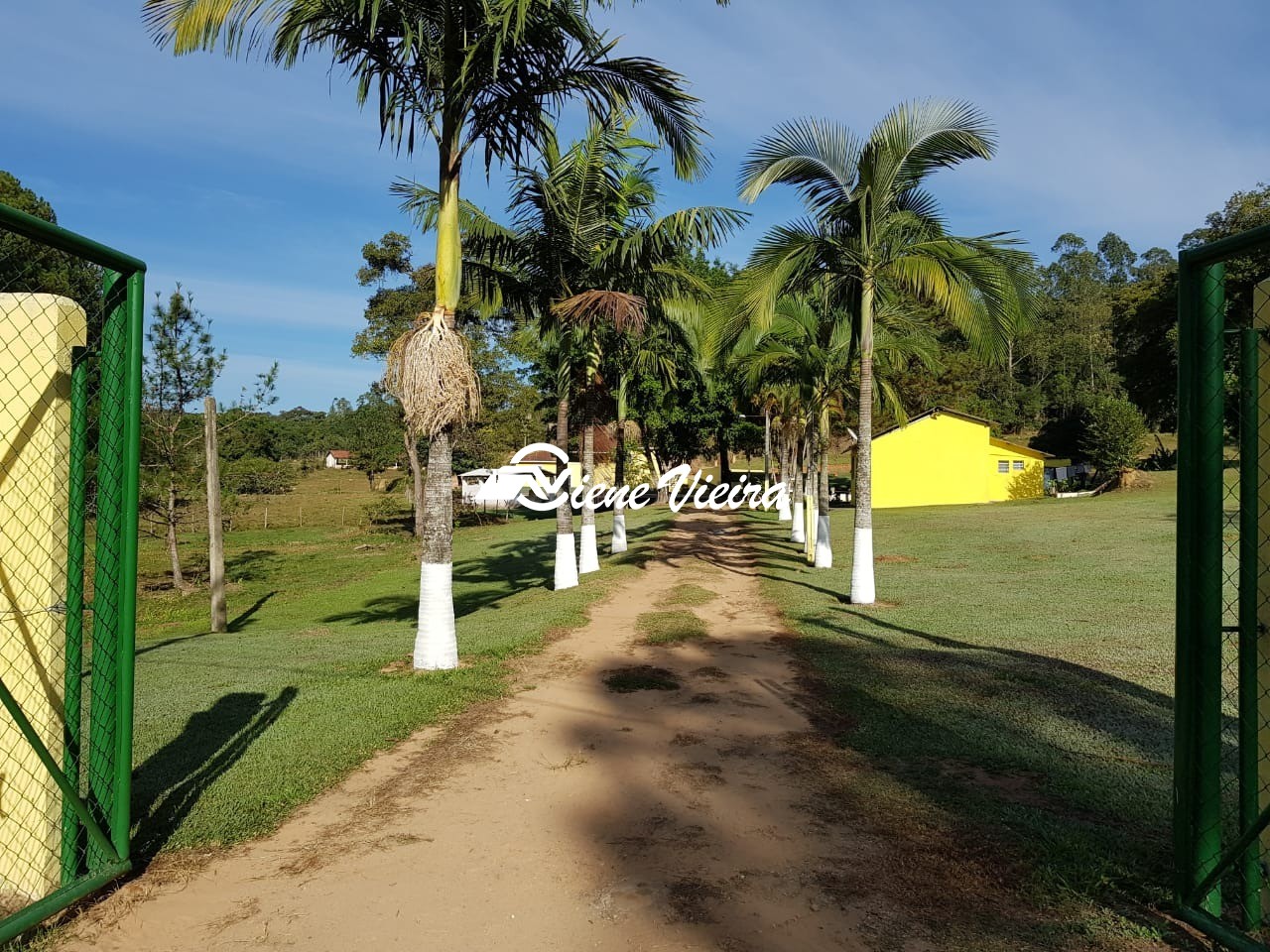 Chácara, 4 quartos, 13 hectares - Foto 2