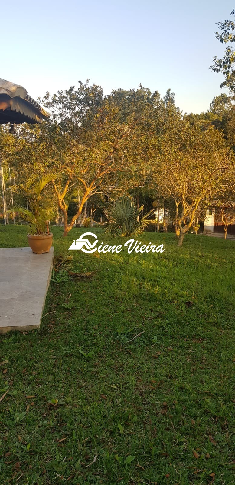 Chácara, 2 quartos, 4900 m² - Foto 11